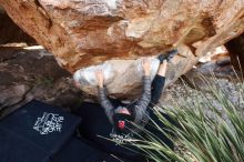 Bouldering in Hueco Tanks on 11/24/2019 with Blue Lizard Climbing and Yoga

Filename: SRM_20191124_1330260.jpg
Aperture: f/4.5
Shutter Speed: 1/250
Body: Canon EOS-1D Mark II
Lens: Canon EF 16-35mm f/2.8 L