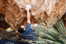 Bouldering in Hueco Tanks on 11/24/2019 with Blue Lizard Climbing and Yoga

Filename: SRM_20191124_1337140.jpg
Aperture: f/4.5
Shutter Speed: 1/250
Body: Canon EOS-1D Mark II
Lens: Canon EF 16-35mm f/2.8 L