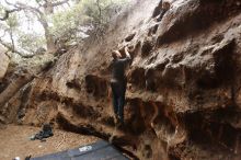 Bouldering in Hueco Tanks on 11/22/2018 with Blue Lizard Climbing and Yoga

Filename: SRM_20181122_1535220.jpg
Aperture: f/2.8
Shutter Speed: 1/160
Body: Canon EOS-1D Mark II
Lens: Canon EF 16-35mm f/2.8 L