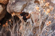 Bouldering in Hueco Tanks on 01/21/2019 with Blue Lizard Climbing and Yoga

Filename: SRM_20190121_1236450.jpg
Aperture: f/5.6
Shutter Speed: 1/250
Body: Canon EOS-1D Mark II
Lens: Canon EF 16-35mm f/2.8 L