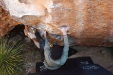 Bouldering in Hueco Tanks on 11/30/2019 with Blue Lizard Climbing and Yoga

Filename: SRM_20191130_1327000.jpg
Aperture: f/5.0
Shutter Speed: 1/250
Body: Canon EOS-1D Mark II
Lens: Canon EF 16-35mm f/2.8 L