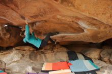 Bouldering in Hueco Tanks on 01/02/2020 with Blue Lizard Climbing and Yoga

Filename: SRM_20200102_1213530.jpg
Aperture: f/3.5
Shutter Speed: 1/250
Body: Canon EOS-1D Mark II
Lens: Canon EF 16-35mm f/2.8 L