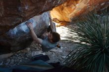 Bouldering in Hueco Tanks on 01/18/2020 with Blue Lizard Climbing and Yoga

Filename: SRM_20200118_1133310.jpg
Aperture: f/6.3
Shutter Speed: 1/250
Body: Canon EOS-1D Mark II
Lens: Canon EF 50mm f/1.8 II