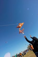 Madhav Tadikonda, class of 1997, and Anjali Patel, class of 1999, fly a UT kite at the 79th annual Zilker Park Kite Festival, Sunday, March 4, 2007.

Filename: SRM_20070304_1538208.jpg
Aperture: f/11.0
Shutter Speed: 1/250
Body: Canon EOS-1D Mark II
Lens: Sigma 15-30mm f/3.5-4.5 EX Aspherical DG DF