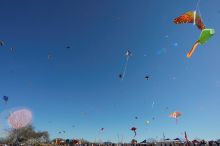 79th annual Zilker Park Kite Festival, Sunday, March 4, 2007.

Filename: SRM_20070304_1544261.jpg
Aperture: f/13.0
Shutter Speed: 1/250
Body: Canon EOS-1D Mark II
Lens: Sigma 15-30mm f/3.5-4.5 EX Aspherical DG DF