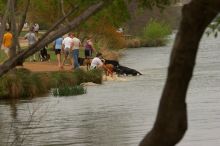 Dogs at play.  Photos from Town Lake Hike & Bike trail in Austin, TX.

Filename: SRM_20060312_104224_7.jpg
Aperture: f/6.3
Shutter Speed: 1/640
Body: Canon EOS 20D
Lens: Canon EF 80-200mm f/2.8 L