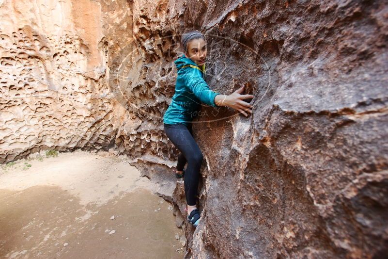 Bouldering in Hueco Tanks on 04/13/2019 with Blue Lizard Climbing and Yoga

Filename: SRM_20190413_1559450.jpg
Aperture: f/5.0
Shutter Speed: 1/40
Body: Canon EOS-1D Mark II
Lens: Canon EF 16-35mm f/2.8 L