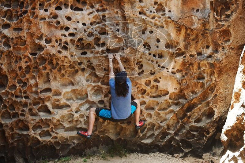 Bouldering in Hueco Tanks on 04/26/2019 with Blue Lizard Climbing and Yoga

Filename: SRM_20190426_1229431.jpg
Aperture: f/4.0
Shutter Speed: 1/500
Body: Canon EOS-1D Mark II
Lens: Canon EF 50mm f/1.8 II