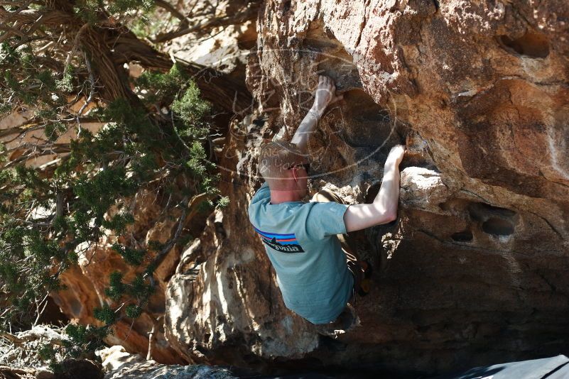 Bouldering in Hueco Tanks on 06/15/2019 with Blue Lizard Climbing and Yoga

Filename: SRM_20190615_1012590.jpg
Aperture: f/3.5
Shutter Speed: 1/500
Body: Canon EOS-1D Mark II
Lens: Canon EF 50mm f/1.8 II