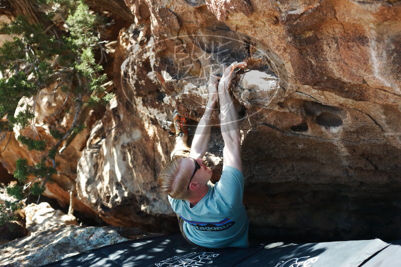 Bouldering in Hueco Tanks on 06/15/2019 with Blue Lizard Climbing and Yoga

Filename: SRM_20190615_1016090.jpg
Aperture: f/3.5
Shutter Speed: 1/320
Body: Canon EOS-1D Mark II
Lens: Canon EF 50mm f/1.8 II