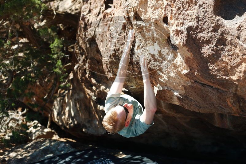 Bouldering in Hueco Tanks on 06/15/2019 with Blue Lizard Climbing and Yoga

Filename: SRM_20190615_1016490.jpg
Aperture: f/3.5
Shutter Speed: 1/800
Body: Canon EOS-1D Mark II
Lens: Canon EF 50mm f/1.8 II