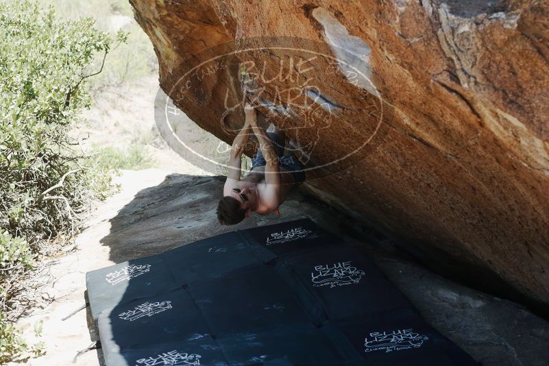 Bouldering in Hueco Tanks on 06/15/2019 with Blue Lizard Climbing and Yoga

Filename: SRM_20190615_1416190.jpg
Aperture: f/4.0
Shutter Speed: 1/250
Body: Canon EOS-1D Mark II
Lens: Canon EF 50mm f/1.8 II