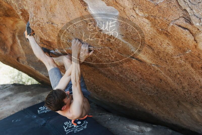 Bouldering in Hueco Tanks on 06/15/2019 with Blue Lizard Climbing and Yoga

Filename: SRM_20190615_1447230.jpg
Aperture: f/4.0
Shutter Speed: 1/250
Body: Canon EOS-1D Mark II
Lens: Canon EF 50mm f/1.8 II