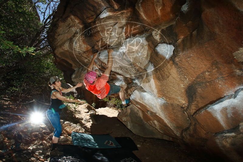 Bouldering in Hueco Tanks on 06/23/2019 with Blue Lizard Climbing and Yoga

Filename: SRM_20190623_1127300.jpg
Aperture: f/8.0
Shutter Speed: 1/250
Body: Canon EOS-1D Mark II
Lens: Canon EF 16-35mm f/2.8 L