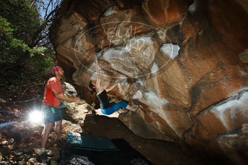 Bouldering in Hueco Tanks on 06/23/2019 with Blue Lizard Climbing and Yoga

Filename: SRM_20190623_1158030.jpg
Aperture: f/8.0
Shutter Speed: 1/250
Body: Canon EOS-1D Mark II
Lens: Canon EF 16-35mm f/2.8 L