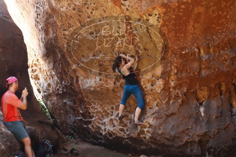 Bouldering in Hueco Tanks on 06/23/2019 with Blue Lizard Climbing and Yoga

Filename: SRM_20190623_1258330.jpg
Aperture: f/4.0
Shutter Speed: 1/100
Body: Canon EOS-1D Mark II
Lens: Canon EF 50mm f/1.8 II