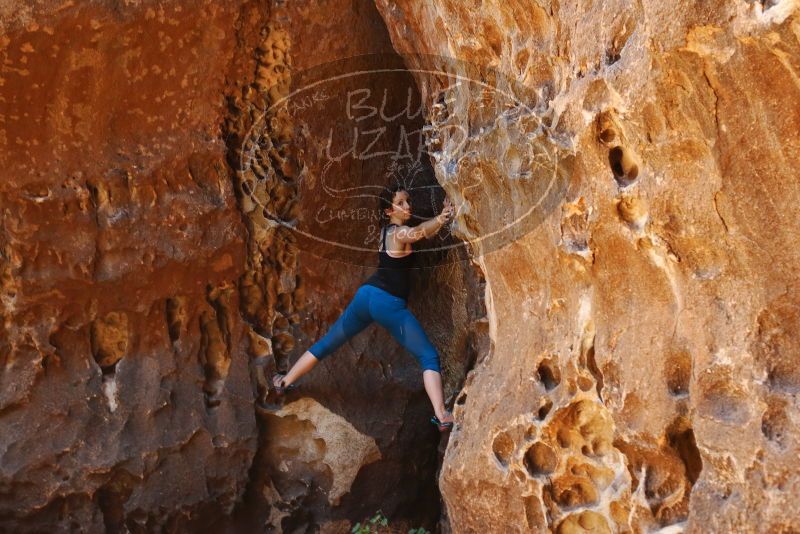 Bouldering in Hueco Tanks on 06/23/2019 with Blue Lizard Climbing and Yoga

Filename: SRM_20190623_1259420.jpg
Aperture: f/4.0
Shutter Speed: 1/80
Body: Canon EOS-1D Mark II
Lens: Canon EF 50mm f/1.8 II