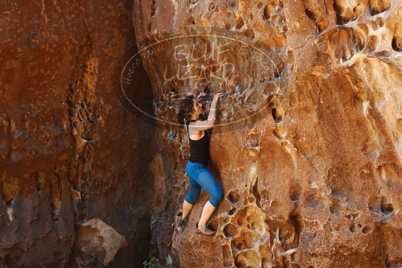 Bouldering in Hueco Tanks on 06/23/2019 with Blue Lizard Climbing and Yoga

Filename: SRM_20190623_1300270.jpg
Aperture: f/4.0
Shutter Speed: 1/125
Body: Canon EOS-1D Mark II
Lens: Canon EF 50mm f/1.8 II