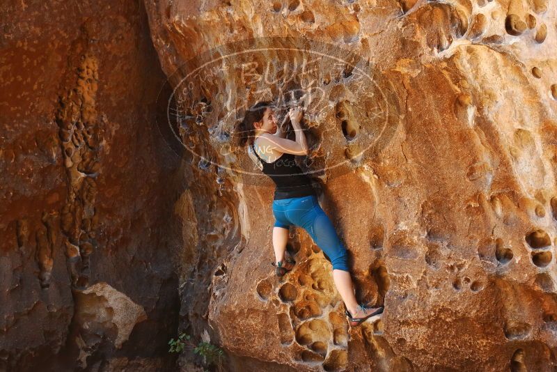 Bouldering in Hueco Tanks on 06/23/2019 with Blue Lizard Climbing and Yoga

Filename: SRM_20190623_1300350.jpg
Aperture: f/4.0
Shutter Speed: 1/125
Body: Canon EOS-1D Mark II
Lens: Canon EF 50mm f/1.8 II