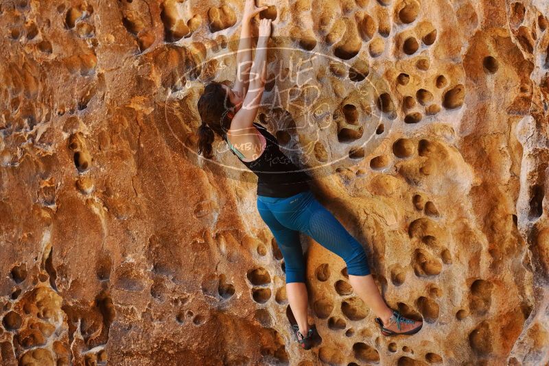 Bouldering in Hueco Tanks on 06/23/2019 with Blue Lizard Climbing and Yoga

Filename: SRM_20190623_1301260.jpg
Aperture: f/4.0
Shutter Speed: 1/160
Body: Canon EOS-1D Mark II
Lens: Canon EF 50mm f/1.8 II