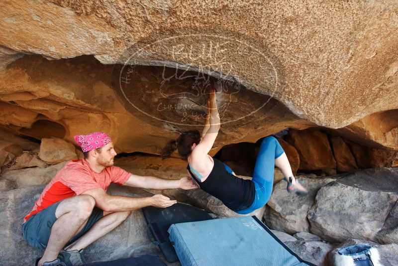 Bouldering in Hueco Tanks on 06/23/2019 with Blue Lizard Climbing and Yoga

Filename: SRM_20190623_1521330.jpg
Aperture: f/5.0
Shutter Speed: 1/200
Body: Canon EOS-1D Mark II
Lens: Canon EF 16-35mm f/2.8 L