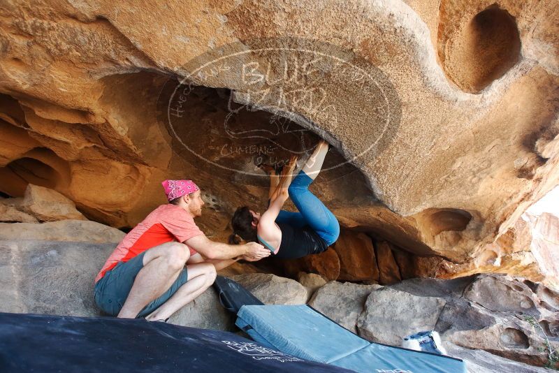 Bouldering in Hueco Tanks on 06/23/2019 with Blue Lizard Climbing and Yoga

Filename: SRM_20190623_1525240.jpg
Aperture: f/5.0
Shutter Speed: 1/160
Body: Canon EOS-1D Mark II
Lens: Canon EF 16-35mm f/2.8 L