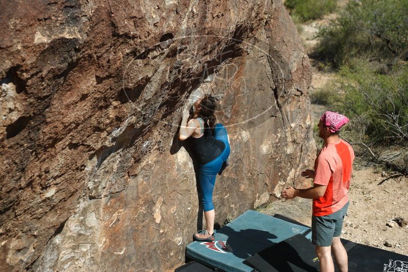 Bouldering in Hueco Tanks on 06/23/2019 with Blue Lizard Climbing and Yoga

Filename: SRM_20190623_1639560.jpg
Aperture: f/4.0
Shutter Speed: 1/800
Body: Canon EOS-1D Mark II
Lens: Canon EF 50mm f/1.8 II