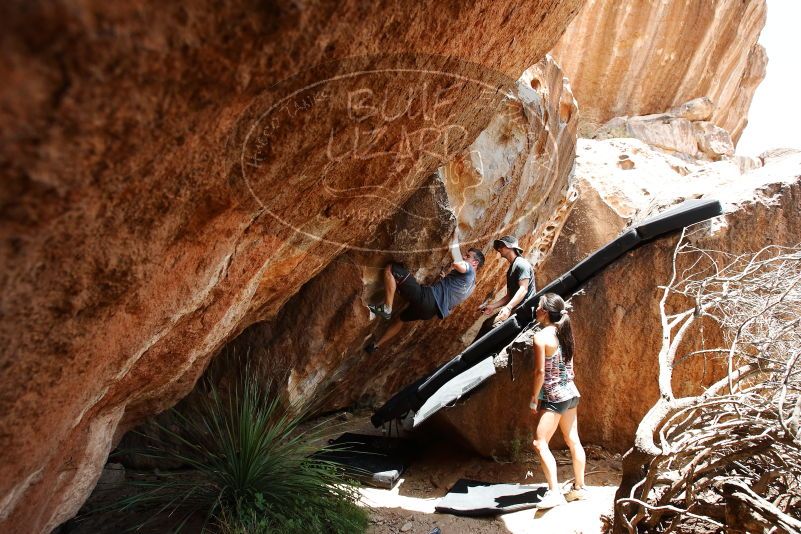 Bouldering in Hueco Tanks on 06/28/2019 with Blue Lizard Climbing and Yoga

Filename: SRM_20190628_1435020.jpg
Aperture: f/5.6
Shutter Speed: 1/320
Body: Canon EOS-1D Mark II
Lens: Canon EF 16-35mm f/2.8 L