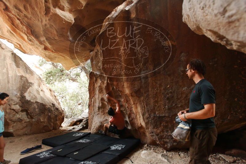 Bouldering in Hueco Tanks on 06/28/2019 with Blue Lizard Climbing and Yoga

Filename: SRM_20190628_1801350.jpg
Aperture: f/4.0
Shutter Speed: 1/125
Body: Canon EOS-1D Mark II
Lens: Canon EF 16-35mm f/2.8 L