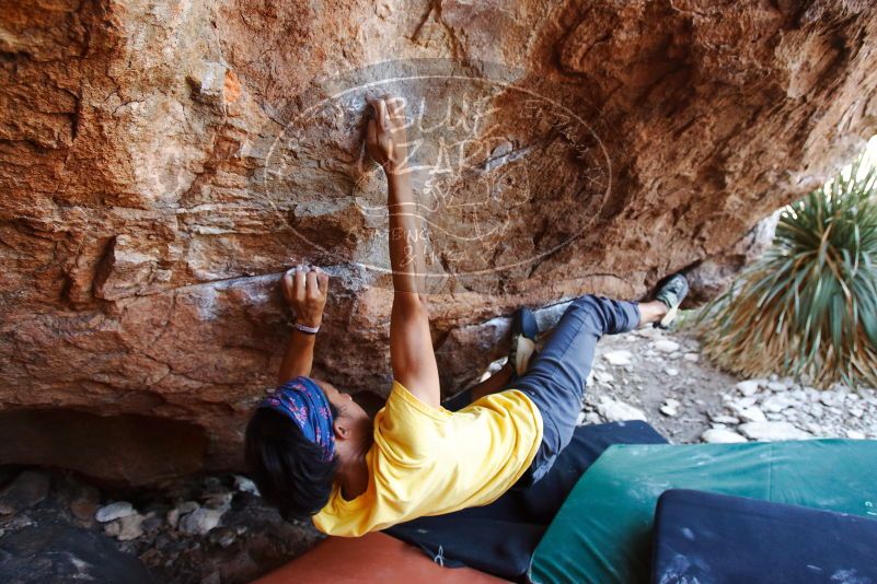 Bouldering in Hueco Tanks on 08/31/2019 with Blue Lizard Climbing and Yoga

Filename: SRM_20190831_1136190.jpg
Aperture: f/4.0
Shutter Speed: 1/200
Body: Canon EOS-1D Mark II
Lens: Canon EF 16-35mm f/2.8 L