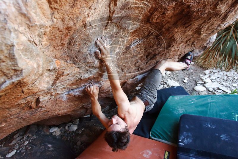 Bouldering in Hueco Tanks on 08/31/2019 with Blue Lizard Climbing and Yoga

Filename: SRM_20190831_1137090.jpg
Aperture: f/4.0
Shutter Speed: 1/200
Body: Canon EOS-1D Mark II
Lens: Canon EF 16-35mm f/2.8 L