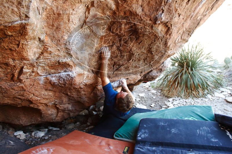 Bouldering in Hueco Tanks on 08/31/2019 with Blue Lizard Climbing and Yoga

Filename: SRM_20190831_1138390.jpg
Aperture: f/4.0
Shutter Speed: 1/200
Body: Canon EOS-1D Mark II
Lens: Canon EF 16-35mm f/2.8 L