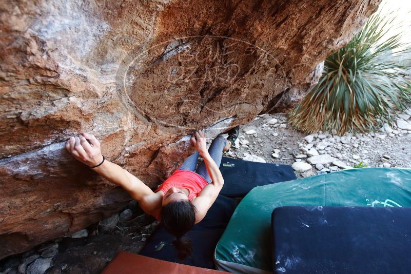 Bouldering in Hueco Tanks on 08/31/2019 with Blue Lizard Climbing and Yoga

Filename: SRM_20190831_1141480.jpg
Aperture: f/4.0
Shutter Speed: 1/250
Body: Canon EOS-1D Mark II
Lens: Canon EF 16-35mm f/2.8 L