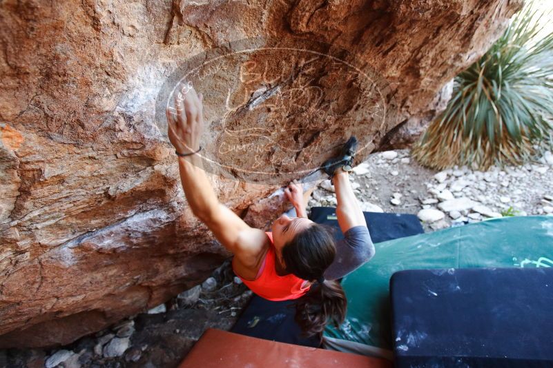 Bouldering in Hueco Tanks on 08/31/2019 with Blue Lizard Climbing and Yoga

Filename: SRM_20190831_1141540.jpg
Aperture: f/4.0
Shutter Speed: 1/200
Body: Canon EOS-1D Mark II
Lens: Canon EF 16-35mm f/2.8 L