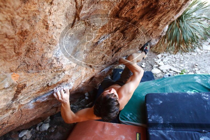 Bouldering in Hueco Tanks on 08/31/2019 with Blue Lizard Climbing and Yoga

Filename: SRM_20190831_1144220.jpg
Aperture: f/4.0
Shutter Speed: 1/250
Body: Canon EOS-1D Mark II
Lens: Canon EF 16-35mm f/2.8 L