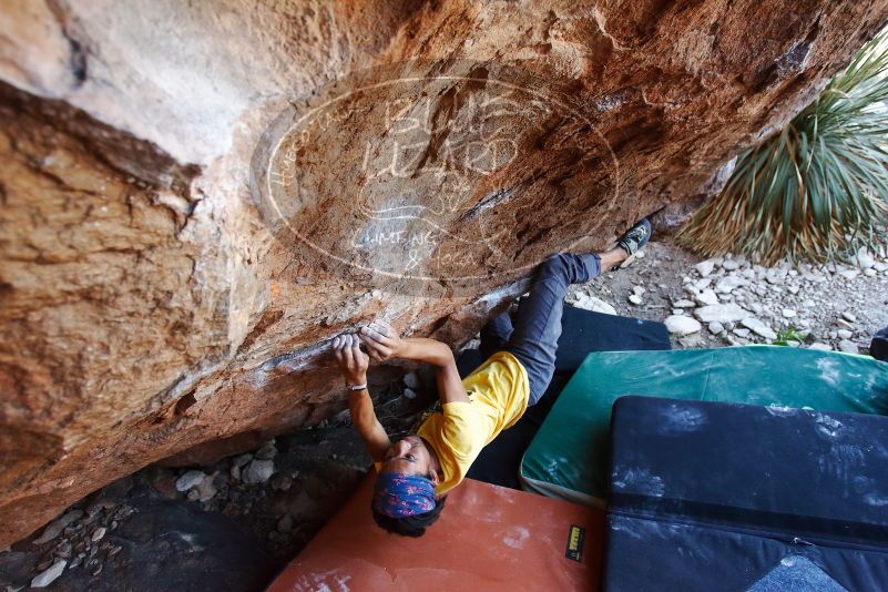 Bouldering in Hueco Tanks on 08/31/2019 with Blue Lizard Climbing and Yoga

Filename: SRM_20190831_1147080.jpg
Aperture: f/4.0
Shutter Speed: 1/250
Body: Canon EOS-1D Mark II
Lens: Canon EF 16-35mm f/2.8 L