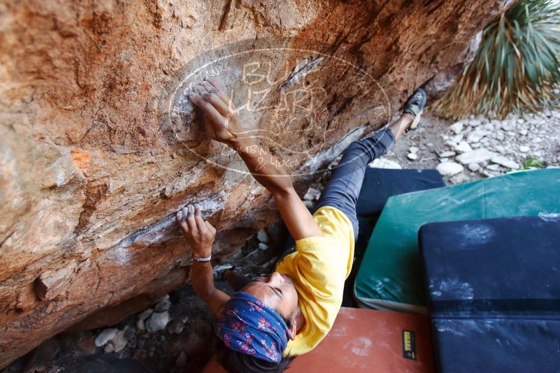 Bouldering in Hueco Tanks on 08/31/2019 with Blue Lizard Climbing and Yoga

Filename: SRM_20190831_1147210.jpg
Aperture: f/4.0
Shutter Speed: 1/250
Body: Canon EOS-1D Mark II
Lens: Canon EF 16-35mm f/2.8 L