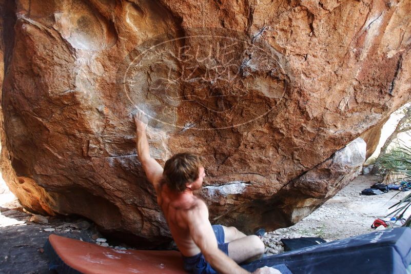 Bouldering in Hueco Tanks on 08/31/2019 with Blue Lizard Climbing and Yoga

Filename: SRM_20190831_1204240.jpg
Aperture: f/4.0
Shutter Speed: 1/250
Body: Canon EOS-1D Mark II
Lens: Canon EF 16-35mm f/2.8 L