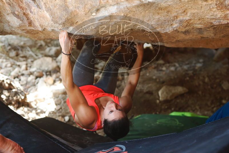 Bouldering in Hueco Tanks on 08/31/2019 with Blue Lizard Climbing and Yoga

Filename: SRM_20190831_1325520.jpg
Aperture: f/2.8
Shutter Speed: 1/400
Body: Canon EOS-1D Mark II
Lens: Canon EF 50mm f/1.8 II