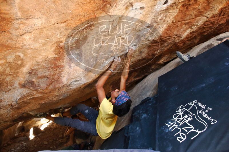 Bouldering in Hueco Tanks on 08/31/2019 with Blue Lizard Climbing and Yoga

Filename: SRM_20190831_1408100.jpg
Aperture: f/4.0
Shutter Speed: 1/200
Body: Canon EOS-1D Mark II
Lens: Canon EF 16-35mm f/2.8 L