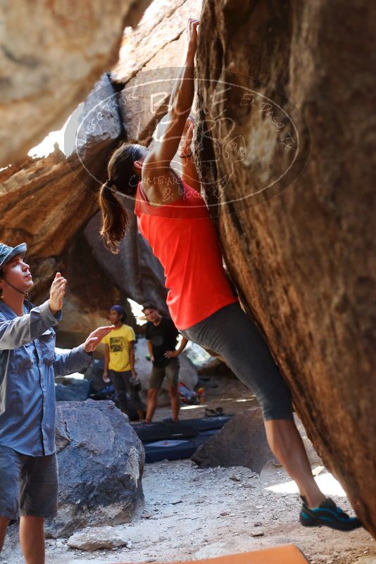 Bouldering in Hueco Tanks on 08/31/2019 with Blue Lizard Climbing and Yoga

Filename: SRM_20190831_1629230.jpg
Aperture: f/2.8
Shutter Speed: 1/400
Body: Canon EOS-1D Mark II
Lens: Canon EF 50mm f/1.8 II