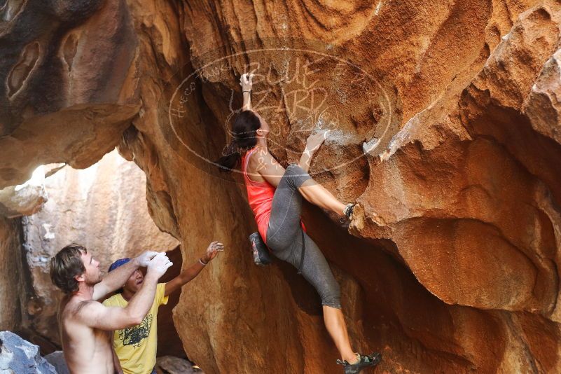 Bouldering in Hueco Tanks on 08/31/2019 with Blue Lizard Climbing and Yoga

Filename: SRM_20190831_1738510.jpg
Aperture: f/3.2
Shutter Speed: 1/160
Body: Canon EOS-1D Mark II
Lens: Canon EF 50mm f/1.8 II