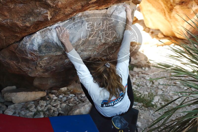 Bouldering in Hueco Tanks on 10/26/2019 with Blue Lizard Climbing and Yoga

Filename: SRM_20191026_1102330.jpg
Aperture: f/4.0
Shutter Speed: 1/500
Body: Canon EOS-1D Mark II
Lens: Canon EF 50mm f/1.8 II