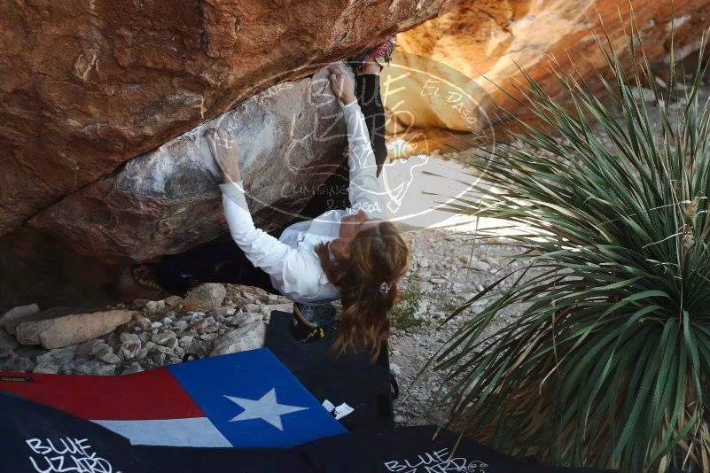 Bouldering in Hueco Tanks on 10/26/2019 with Blue Lizard Climbing and Yoga

Filename: SRM_20191026_1107380.jpg
Aperture: f/4.0
Shutter Speed: 1/400
Body: Canon EOS-1D Mark II
Lens: Canon EF 50mm f/1.8 II