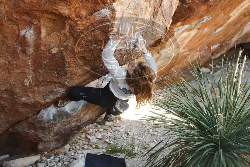 Bouldering in Hueco Tanks on 10/26/2019 with Blue Lizard Climbing and Yoga

Filename: SRM_20191026_1107430.jpg
Aperture: f/4.0
Shutter Speed: 1/320
Body: Canon EOS-1D Mark II
Lens: Canon EF 50mm f/1.8 II