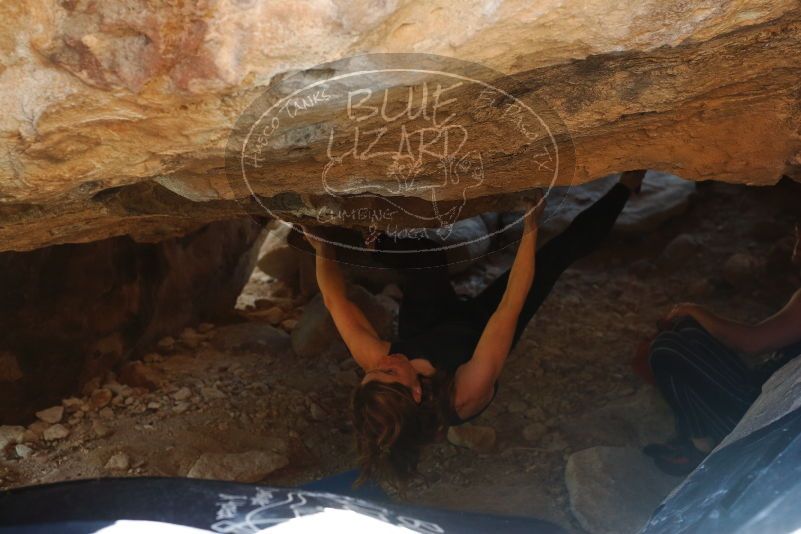 Bouldering in Hueco Tanks on 10/26/2019 with Blue Lizard Climbing and Yoga

Filename: SRM_20191026_1523240.jpg
Aperture: f/4.0
Shutter Speed: 1/250
Body: Canon EOS-1D Mark II
Lens: Canon EF 50mm f/1.8 II