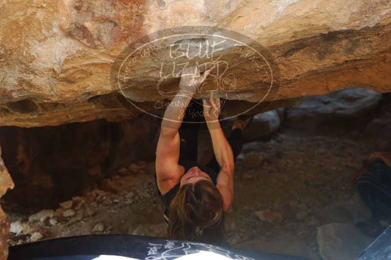 Bouldering in Hueco Tanks on 10/26/2019 with Blue Lizard Climbing and Yoga

Filename: SRM_20191026_1523390.jpg
Aperture: f/4.0
Shutter Speed: 1/250
Body: Canon EOS-1D Mark II
Lens: Canon EF 50mm f/1.8 II