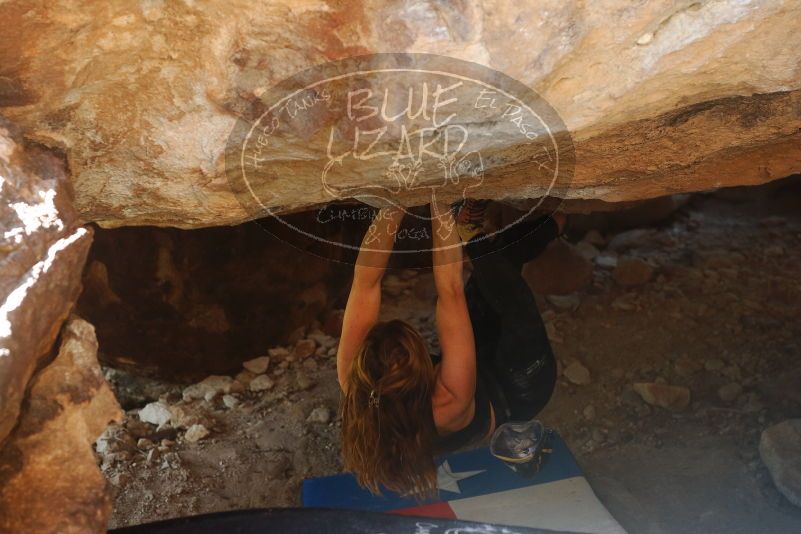 Bouldering in Hueco Tanks on 10/26/2019 with Blue Lizard Climbing and Yoga

Filename: SRM_20191026_1526160.jpg
Aperture: f/4.0
Shutter Speed: 1/250
Body: Canon EOS-1D Mark II
Lens: Canon EF 50mm f/1.8 II