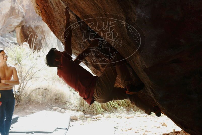 Bouldering in Hueco Tanks on 11/09/2019 with Blue Lizard Climbing and Yoga

Filename: SRM_20191109_1247390.jpg
Aperture: f/4.0
Shutter Speed: 1/250
Body: Canon EOS-1D Mark II
Lens: Canon EF 50mm f/1.8 II