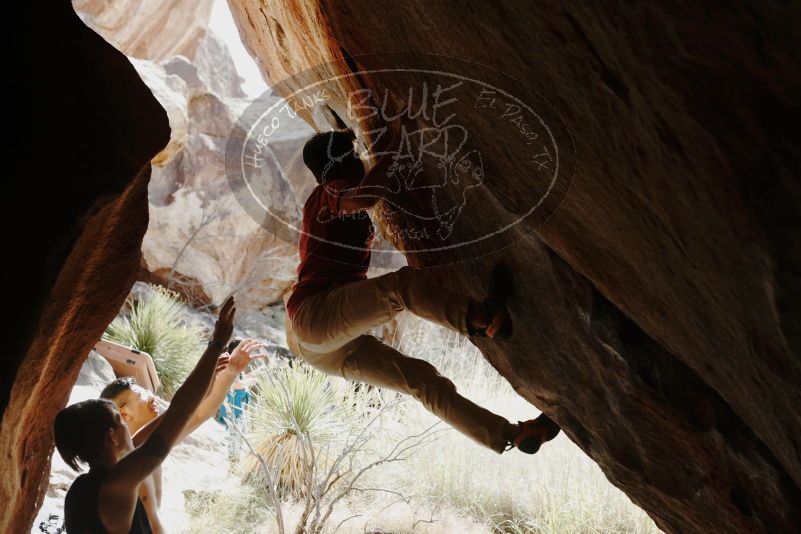 Bouldering in Hueco Tanks on 11/09/2019 with Blue Lizard Climbing and Yoga

Filename: SRM_20191109_1248070.jpg
Aperture: f/4.0
Shutter Speed: 1/400
Body: Canon EOS-1D Mark II
Lens: Canon EF 50mm f/1.8 II